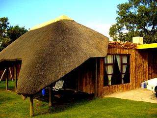 rockfeatures how to dvd before after grass roof rockfeatures how to dvd before after grass roof