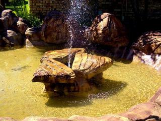 rockfeatures how to dvd 6 rockfeatures how to dvd 6